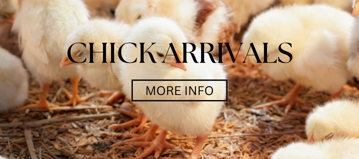 Animal Feed Store Norco, CA Tony's Hay & Grain