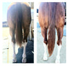 Horse Guard Hoof & Hair Guard (40 LB)