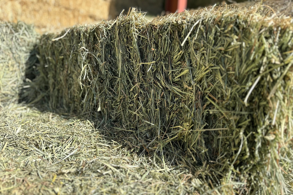Wool Hay Hay & Bedding Supplies - Norco, CA - Tony's Hay and Grain