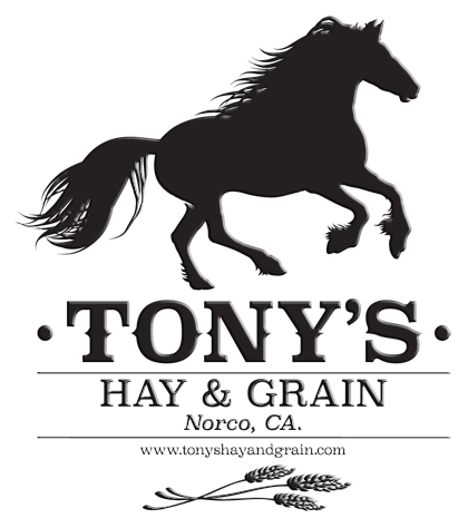 Tony's Hay and Grain Meadow Hay