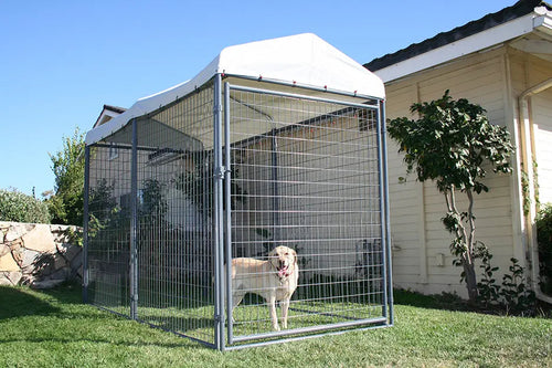 Rugged Ranch Durango Kennel Powder Coat Dog