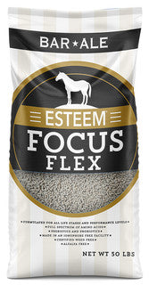 Bar Ale Esteem Focus Flex