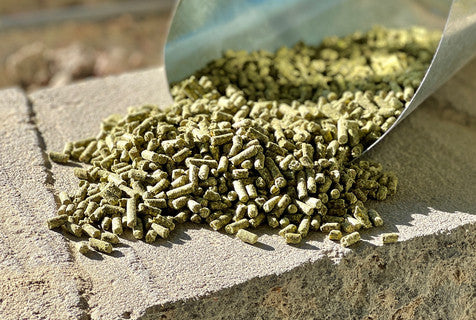 BAR Ale Esteem® Low Starch