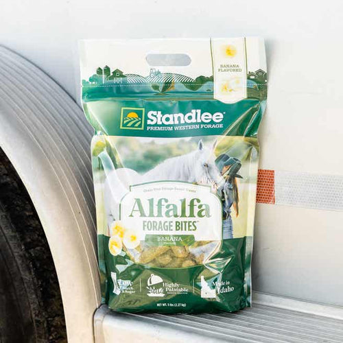 Standlee Alfalfa Forage Bites - Banana Flavored Horse Treats