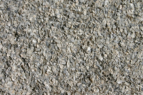 Pacific Pearl® Oyster Shell