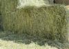 Tony's Hay and Grain Teff Grass