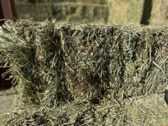 Tony's Hay and Grain Timothy Grass